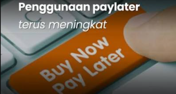 paylater atau dana cicil yang Dinilai Mudah Diaktifkan